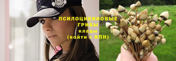 COCAINE Верея